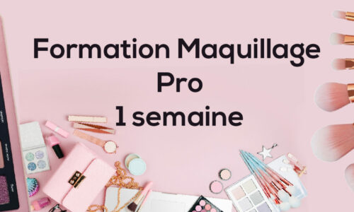 Miniature du cours